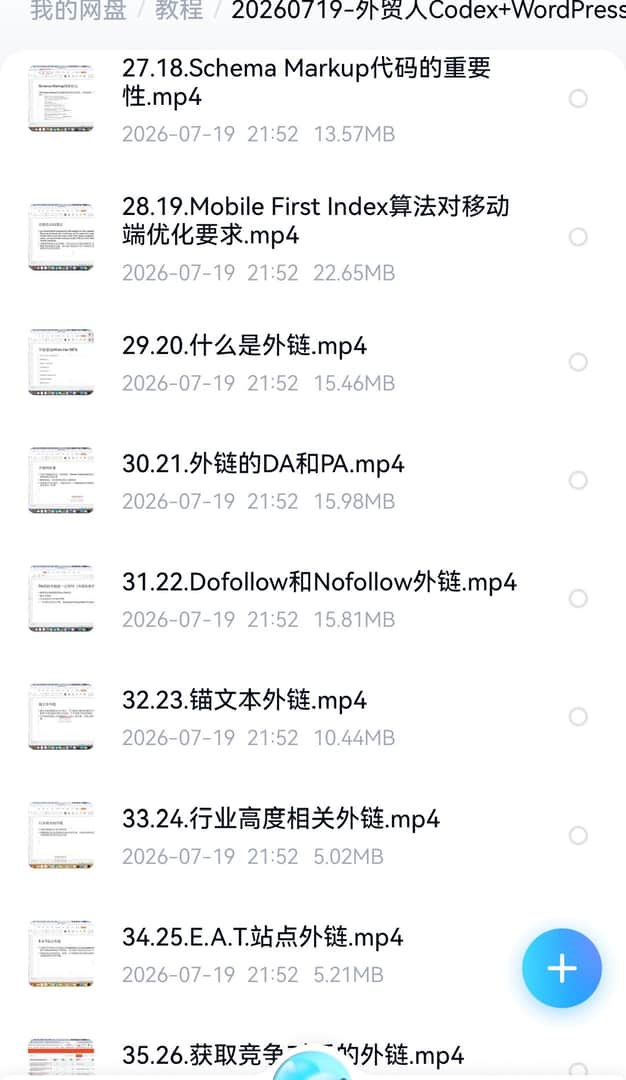 Codex+WordPress外贸建站课