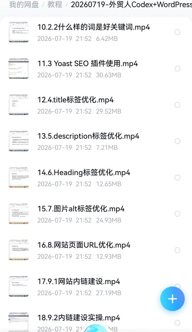 Codex+WordPress外贸建站课