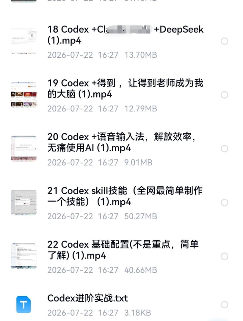 Codex高阶教程